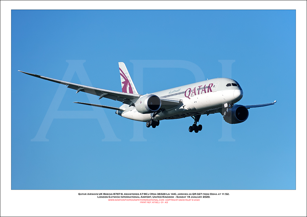 A7-BCJ - Qatar Airways Boeing 787-8 (Msn  38328 Ln 144) - 01