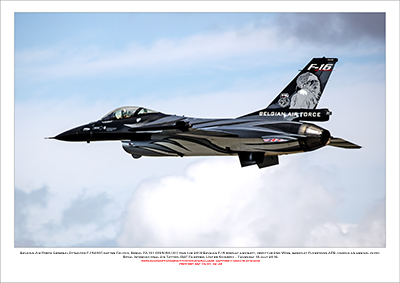 BEGIUM-FA-101 - Belgian Air Force General Dynamics F-16AM Fighting Falcon  (Msn 6H-101) - 02