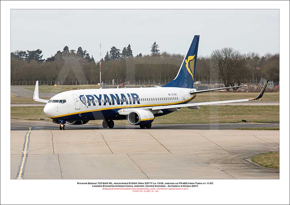 EI-DAK - Ryanair Boeing 737-8AS WL  (Msn 33717 Ln 1310) - 01