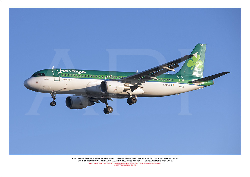 EI-DEH - Aer Lingus  Airbus A320-214, (Msn 2294) - 01