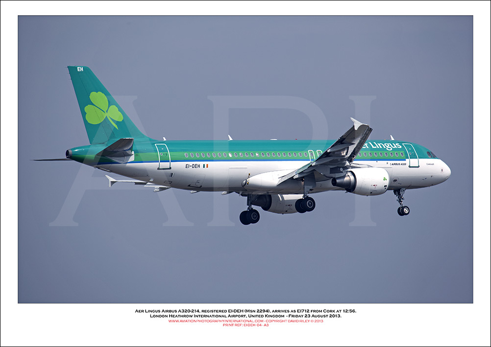 EI-DEH - Aer Lingus  Airbus A320-214, (Msn 2294) - 04