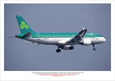 EI-DEH - Aer Lingus  Airbus A320-214, (Msn 2294) - 04
