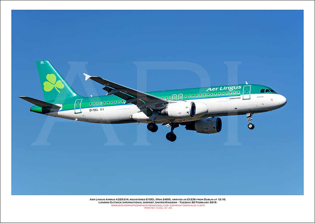 EI-DEL - Aer Lingus  Airbus A320-214, (Msn 2409) - 01