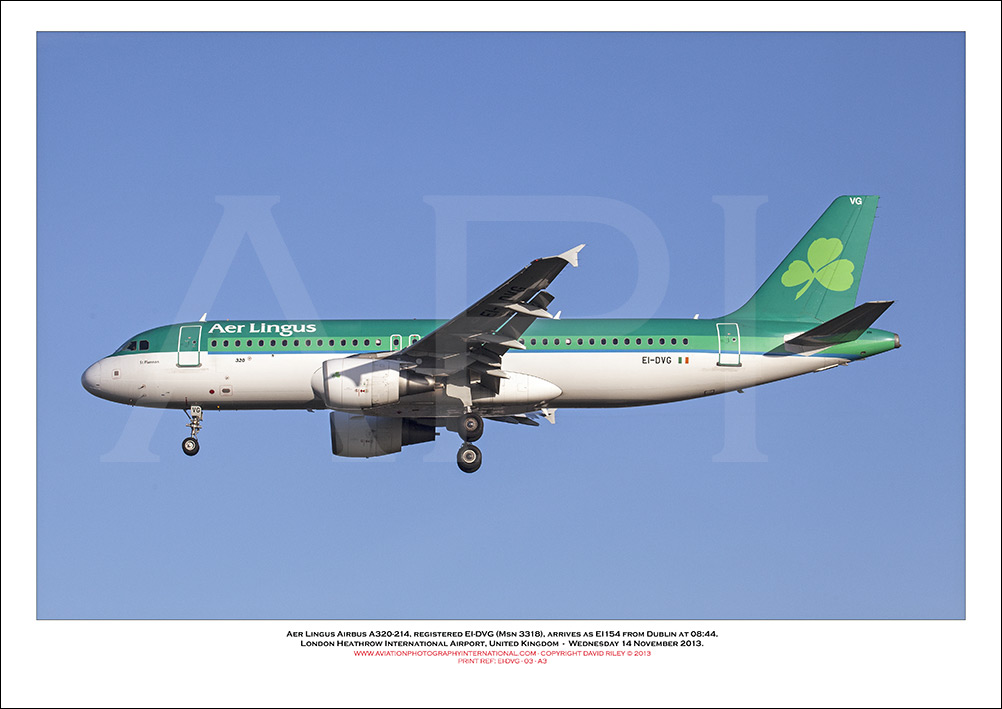 EI-DVG - Aer Lingus  Airbus A320-214, (Msn 3318) - 03