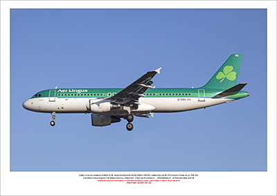 EI-DVG - Aer Lingus  Airbus A320-214, (Msn 3318) - 03