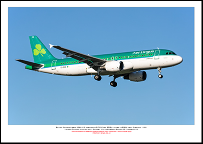EI-DVG - Aer Lingus  Airbus A320-214, (Msn 3318) - 05