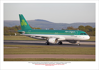 EI-DVK - Aer Lingus  Airbus A320-214, (Msn 2364) - 03