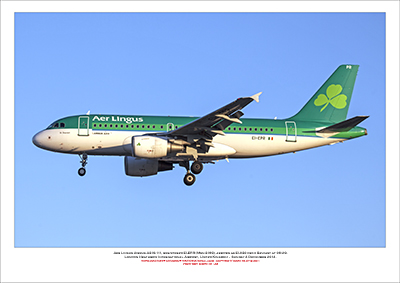 EI-EPR - Aer Lingus  Airbus A319-111, (Msn 3169) - 01