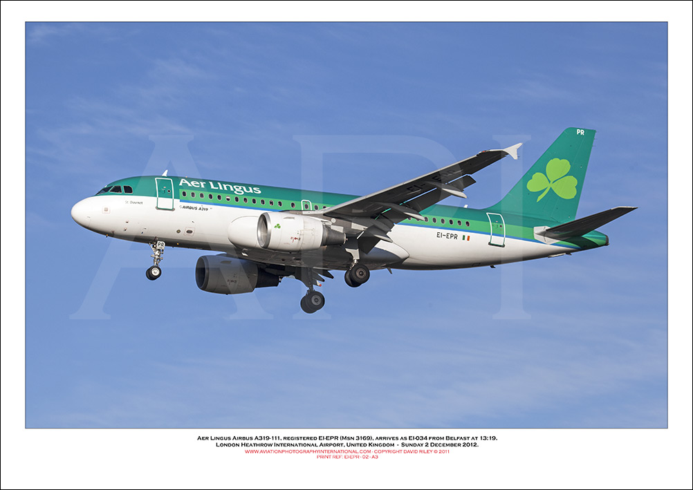 EI-EPR - Aer Lingus  Airbus A319-111, (Msn 3169) - 02
