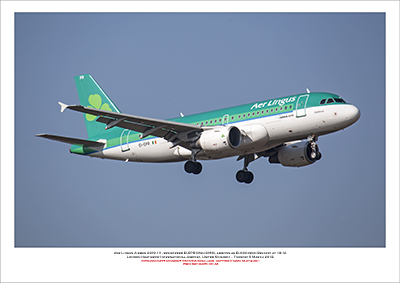 EI-EPR - Aer Lingus  Airbus A319-111, (Msn 3169) - 03