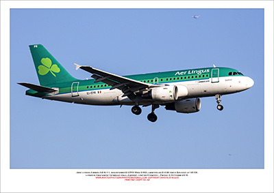 EI-EPR - Aer Lingus  Airbus A319-111, (Msn 3169) - 04