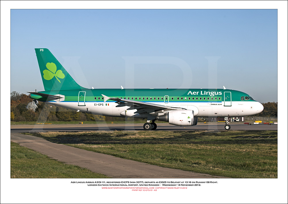 EI-EPS - Aer Lingus  Airbus A319-111, (Msn 3377) - 01