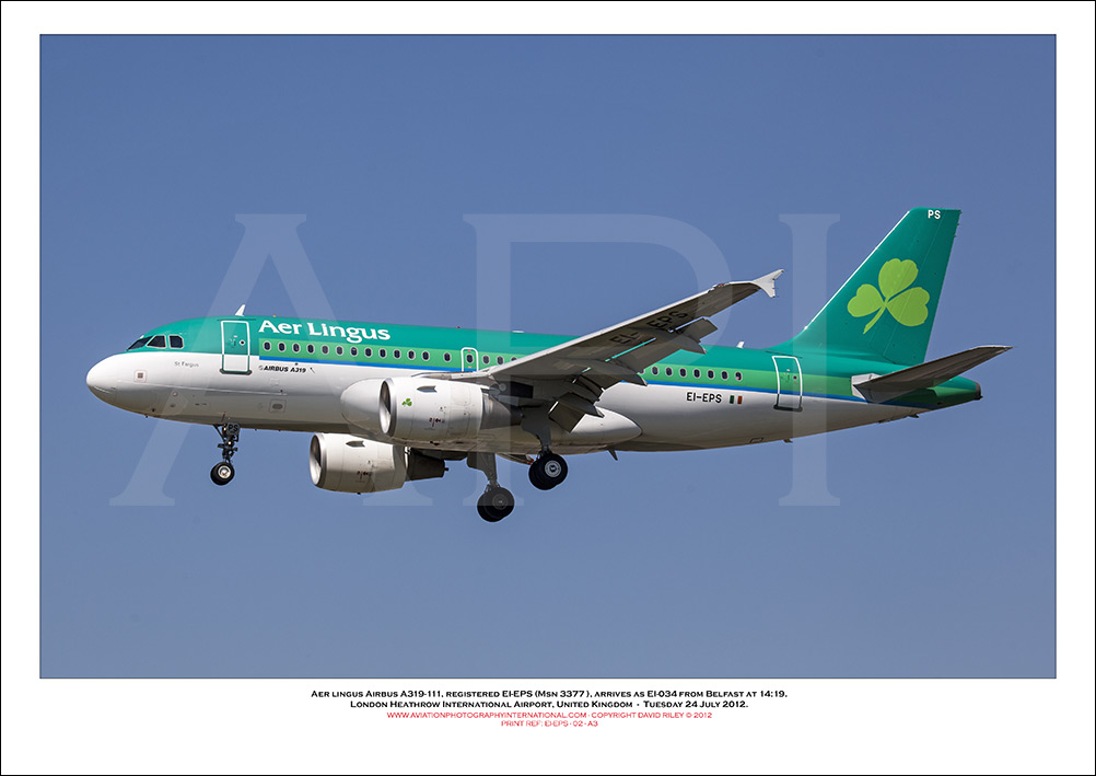 EI-EPS - Aer Lingus  Airbus A319-111, (Msn 3377) - 02