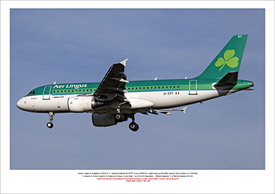 EI-EPT - Aer Lingus  Airbus A319-111, (Msn 3054) - 02