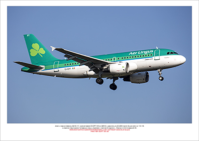 EI-EPT - Aer Lingus  Airbus A319-111, (Msn 3054) - 03