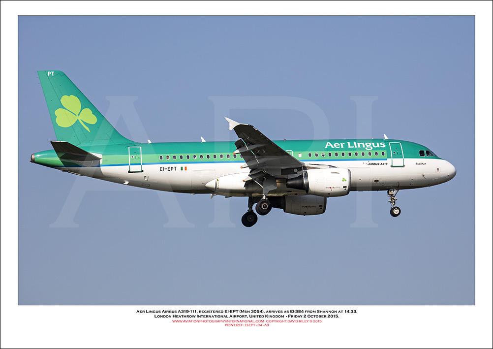 EI-EPT - Aer Lingus  Airbus A319-111, (Msn 3054) - 04