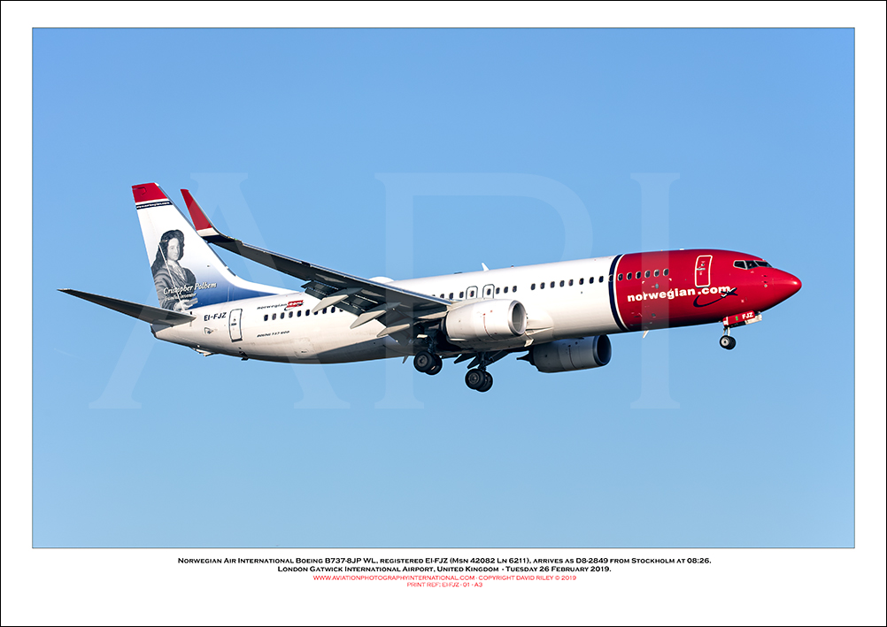 EI-FJZ - Norwegian Air International Boeing 737-8JP WL (Msn 42082 Ln 6211) - 01