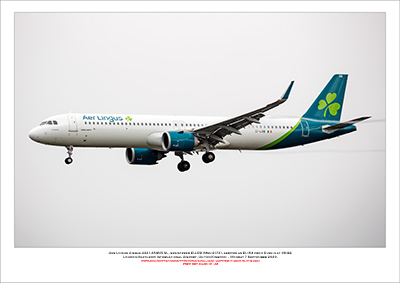 EI-LRB - Aer Lingus  Airbus  A321-253NX SL, (Msn 3172) - 01