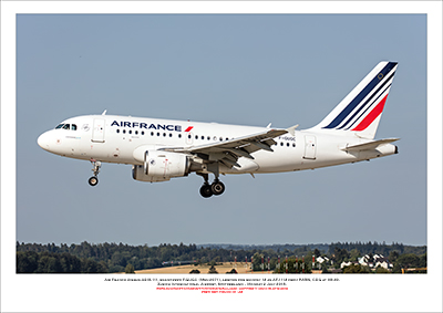 F-GUGC - Air France Airbus A318-111 (Msn 2071)  - 01