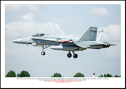 FINNISH-HN-435 - Finnish Air Force McDonnell Douglas F-18C-51-MC Hornet  (MSN 1443/FNC035) - 01