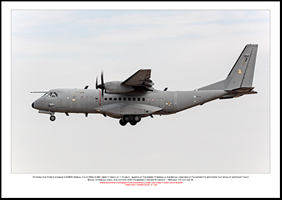 FINNISH-CC-2 - Finnish Air Force Airbus C295M  (Msn 036) - 01