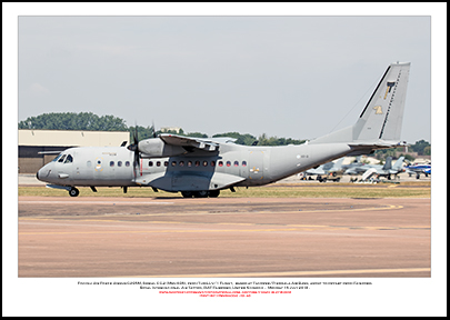 FINNISH-CC-2 - Finnish Air Force Airbus C295M  (Msn 036) - 02