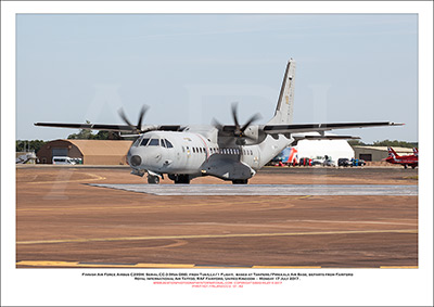 FINNISH-CC-3 - Finnish Air Force Airbus C295M  (Msn 086) - 01