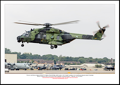 FINNISH-NH-219 - Finnish Air Force Airbus NH90-TTH  (Msn 1260) - 02