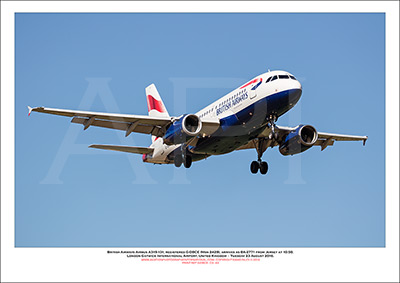 G-DBCE - British Airways Airbus A319-131 (Msn 2429 ) - 03
