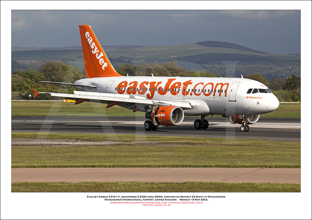 G-EZDJ - easyJet Airbus A319-111 (Msn 3544) - 02