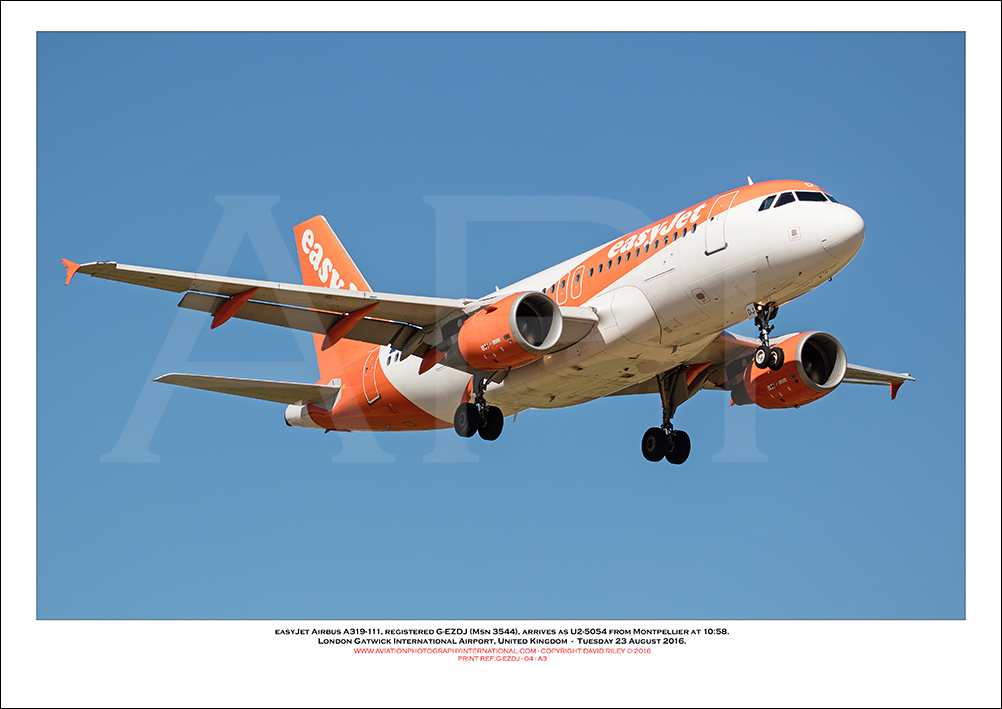 G-EZDJ - easyJet Airbus A319-111 (Msn 3544) - 04