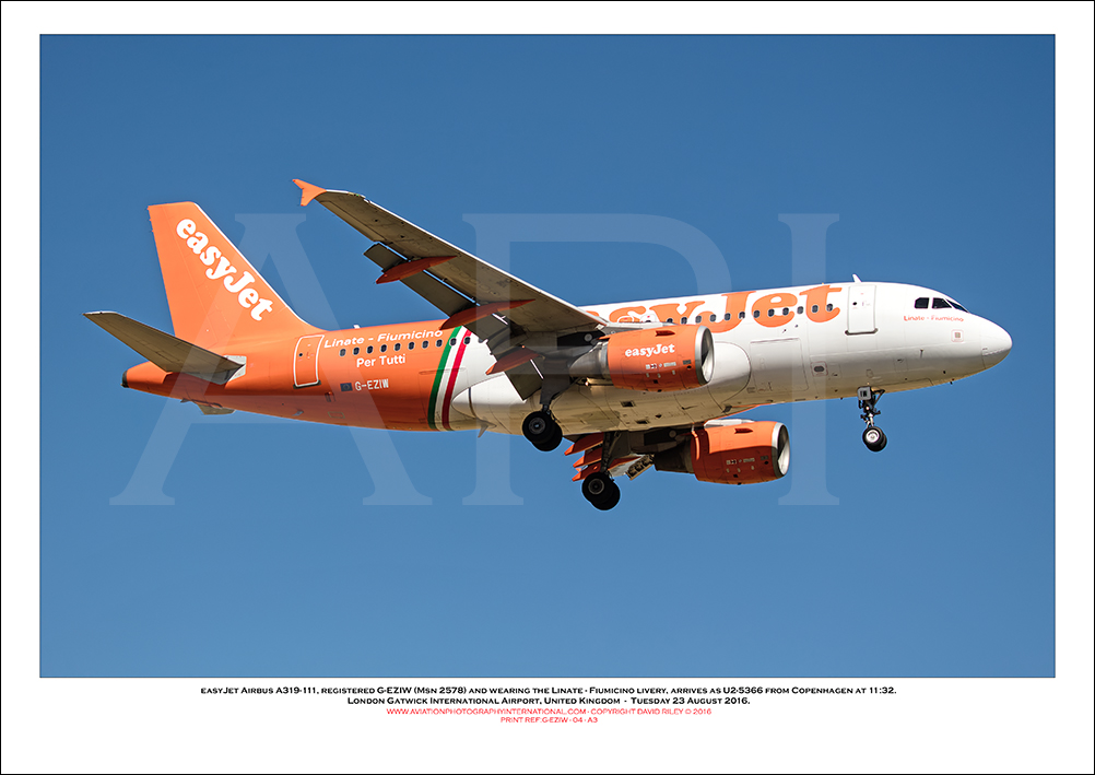 G-EZIW - easyJet Airbus A319-111 (Msn 2578) - 04