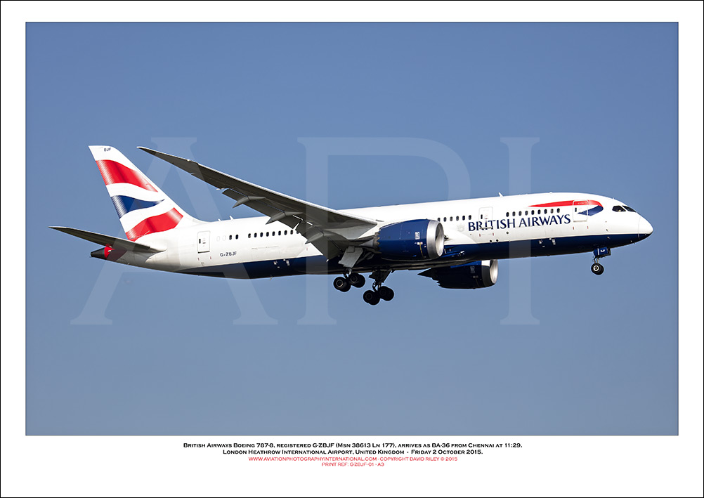 G-ZBJF - British Airways Boeing 787-8 Dreamliner (Msn 38613 Ln 177) - 01