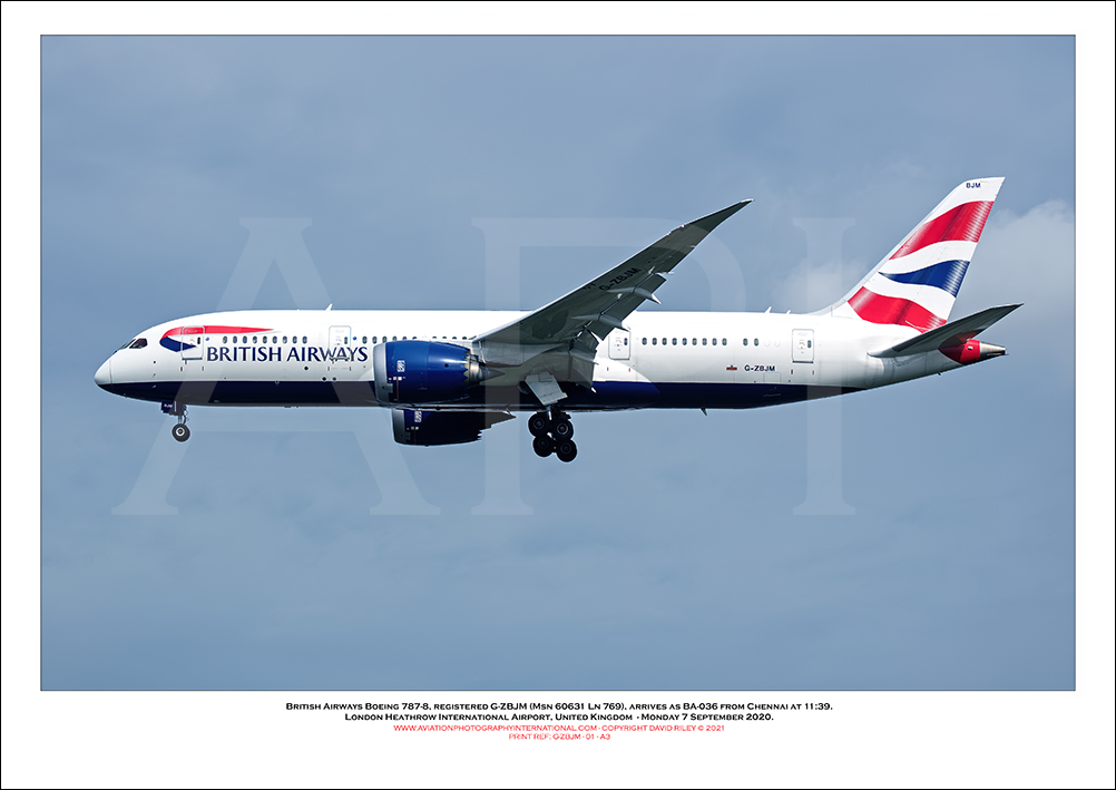G-ZBJM - British Airways Boeing 787-8 Dreamliner (Msn 60631 Ln 769) - 02
