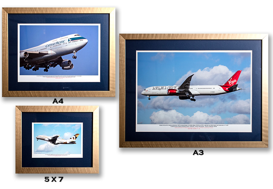 Image - Gold Frames with Dark Blue Mats