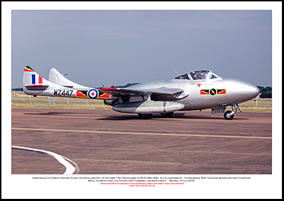 LN-DHZ - Norwegian Air Force Historic Flight De Havilland DH.115 Vampire T.55 (Msn 990) - 02