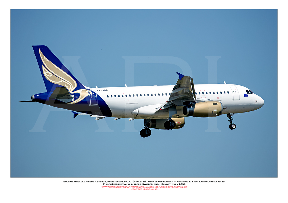 LZ-AOC-  Bulgarian Eagle Airbus A319-132 (Msn 2739) - 01