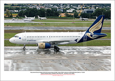 LZ-AOC-  Bulgarian Eagle Airbus A319-132 (Msn 2739) - 02