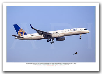 N12125 - United Airlines Boeing 757-224 WL  (Msn 28967 Ln 788) - 01