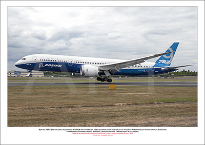 N787EX - Boeing 787-9 Dreamliner  (Msn 41988 Ln 126) - 02