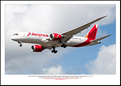 N794AV- Avianca Boeing 787-8 (Msn 39406 Ln 535)  - 01