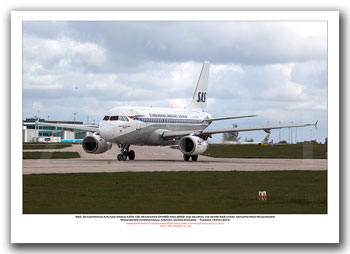 OY-KBO - SAS - Skandinavian Airlines Airbus A319-132  (Msn 2850) - 02