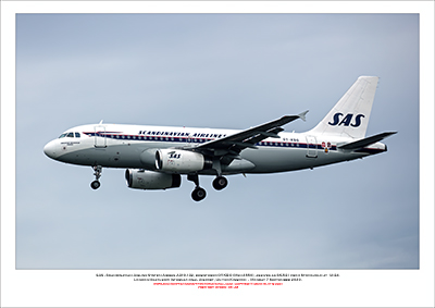 OY-KBO - SAS - Skandinavian Airlines Airbus A319-132  (Msn 2850) - 05