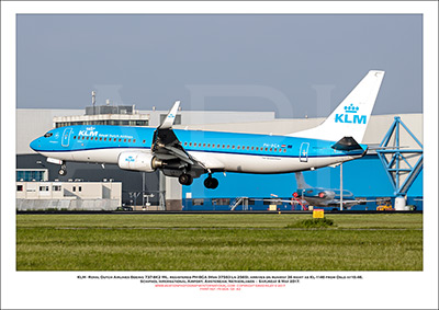 Boeing 737-800's