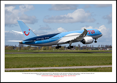 PH-TFL -TUI Airlines Netherlands Boeing 787-8  (Msn 37228 Ln 245) - 03