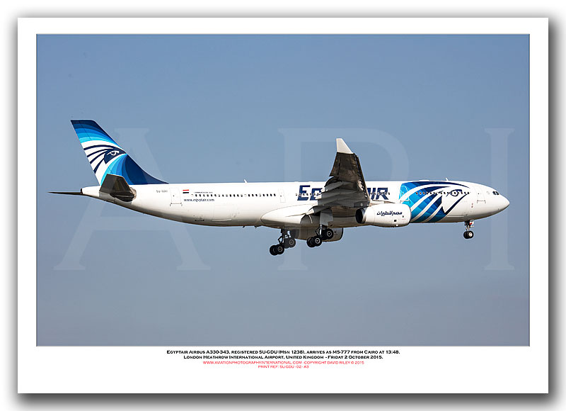 SU-GDU - Egyptair Airbus A330-343X  (Msn 1238) - 02