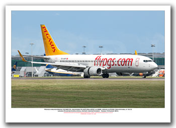 TC-AHP - Pegasus Airlines Boeing 737-82R WL  (Msn 40721 Ln 3600) - 01