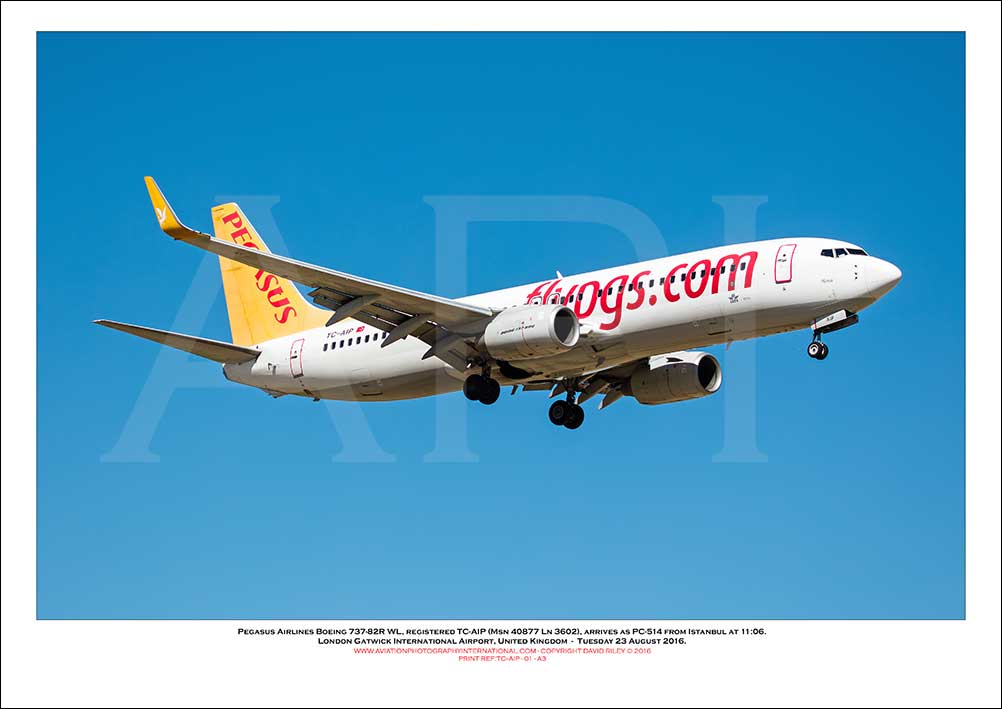 TC-AIP - Pegasus Airlines Boeing 737-82R WL  (Msn 40877 Ln 3602) - 01