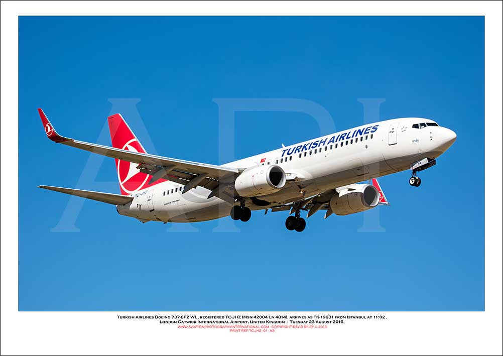 TC-JHZ - Turkish Airlines Boeing 737-8F2 WL (Msn 42004 Ln 4814) - 01