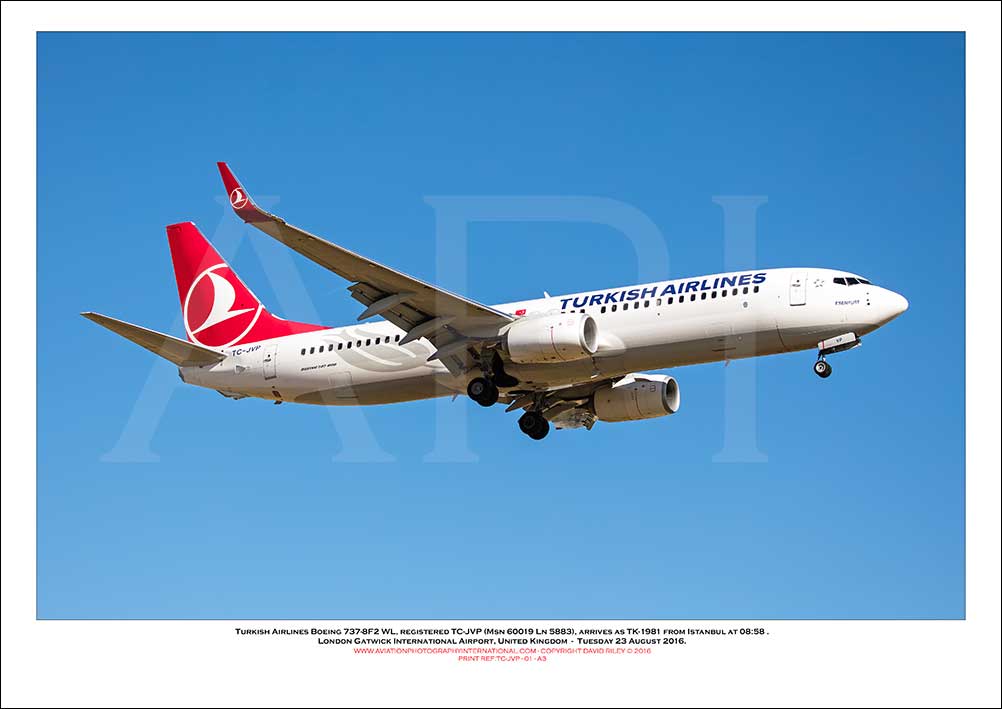 TC-JVP - Turkish Airlines Boeing 737-8F2 WL (Msn 60019 Ln 5883) - 01
